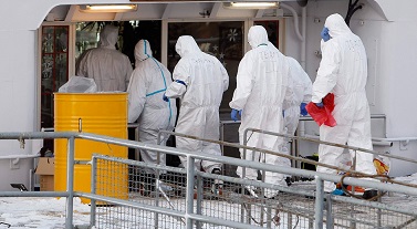 Cruise Ship Norovirus